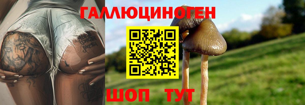 Горячий Ключ  Псилоцибиновые грибы Psilocybe  Вход с VPN  Псилоцибиновые грибы MAGIC MUSHROOMS 